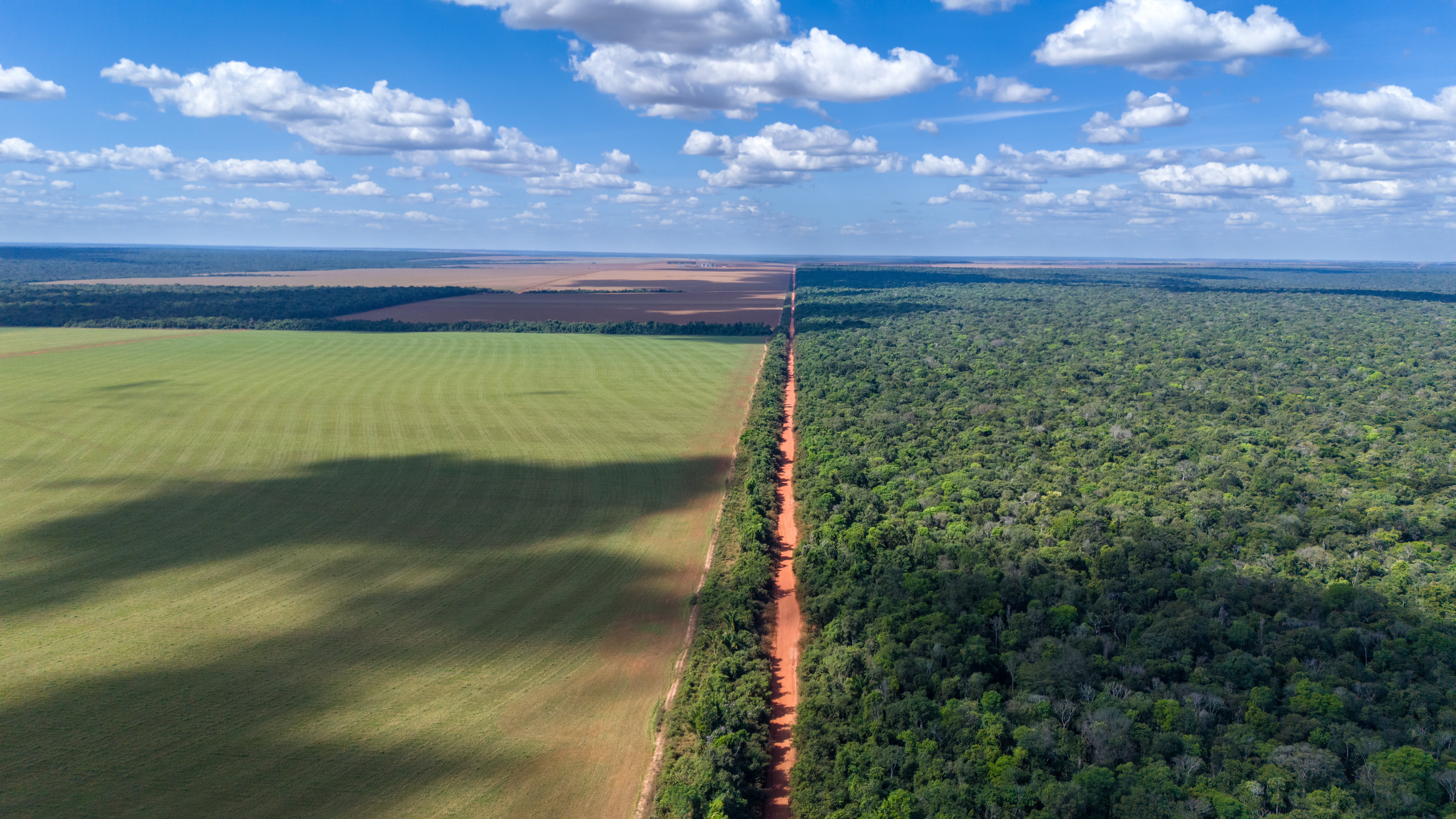 Agricultura e floresta em Mato Grosso, a convivência entre o agronegócio e a natureza