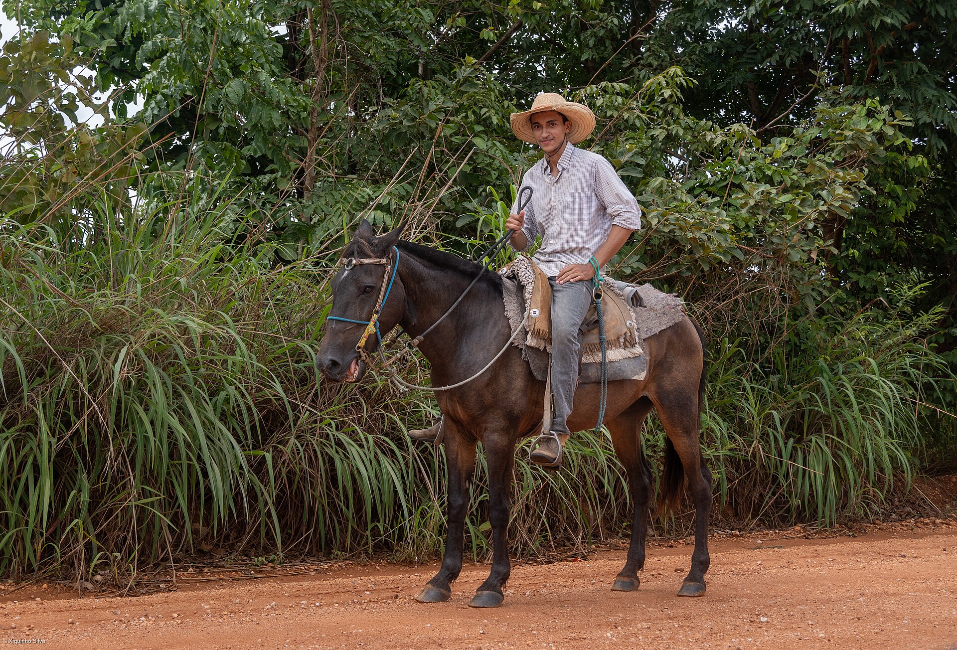 Pôr do sol no Pantanal mato-grossense